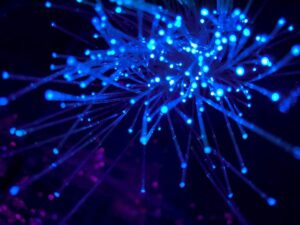 Who is connecting our Smart Cities - the invisible internet 'wiring' the world