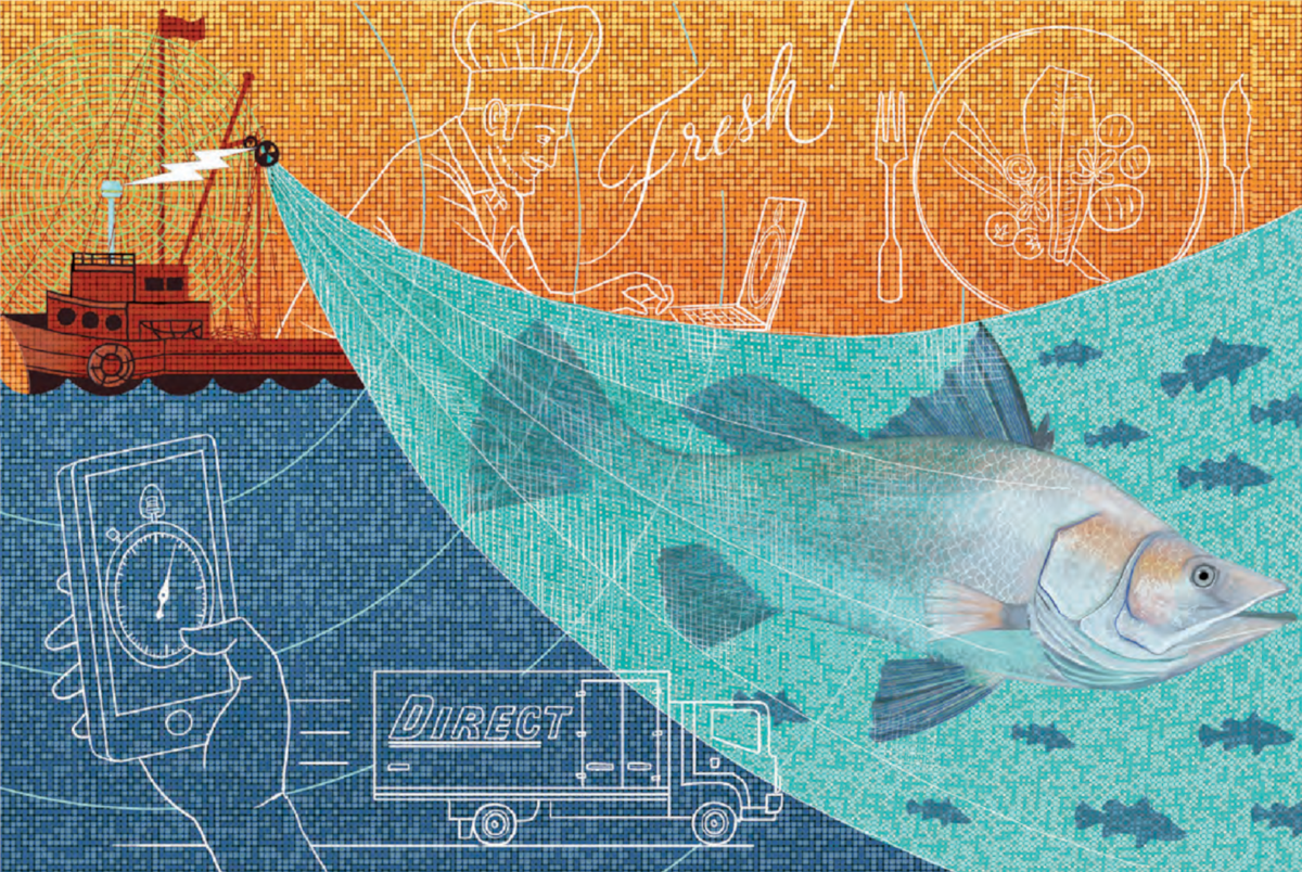 Digital Fishing Illustration by Sonia Kretschmar