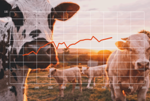 Photo by Stijn te Strake on Unsplash