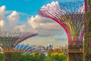 Tourists on footbridge in Singapore's Gardens by the Bay, Photo by Coleen Rivas on Unsplash