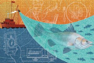 Digital Fishing Illustration by Sonia Kretschmar